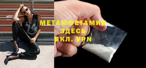 мет Алексин