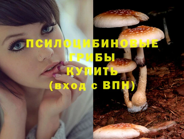 хмурый Армянск
